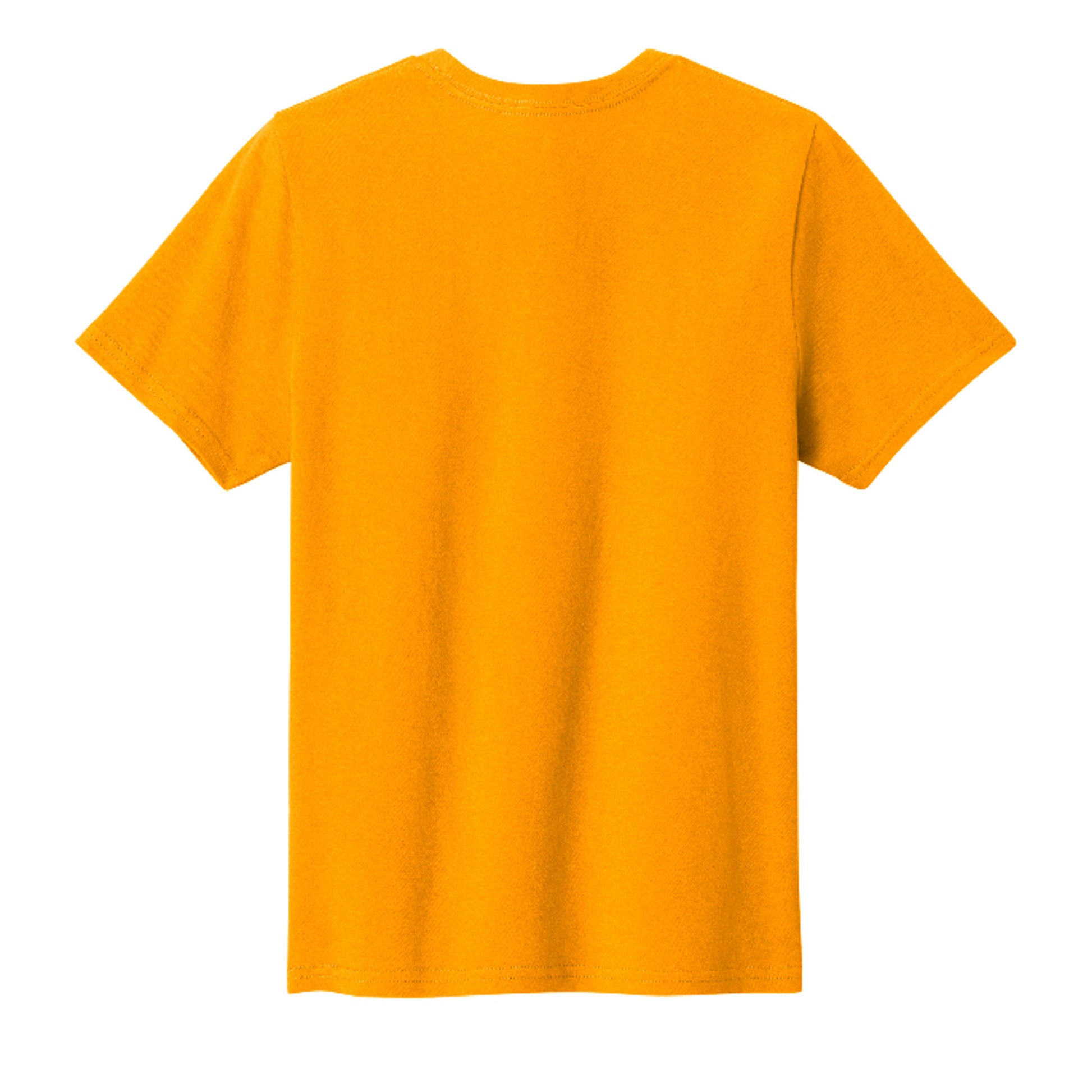 Gold - PC43Y - BACK